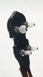 Gold Custom Tenor Resonator (2021) (SKU: 31932) 31932