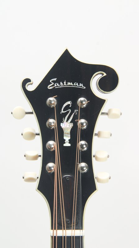 Eastman MDA815 (used) #8