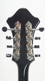 New Millennium Circle Strings Carbon Fiber Kevlar F Style Mandolin (2019) (SKU: 31043) 31043