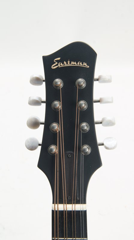 Eastman MDO305 #8