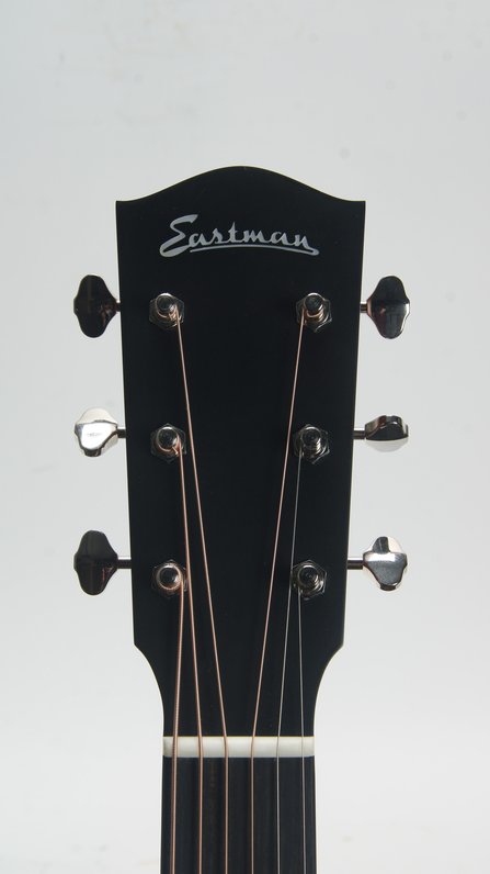 Eastman E1SS-SB #8