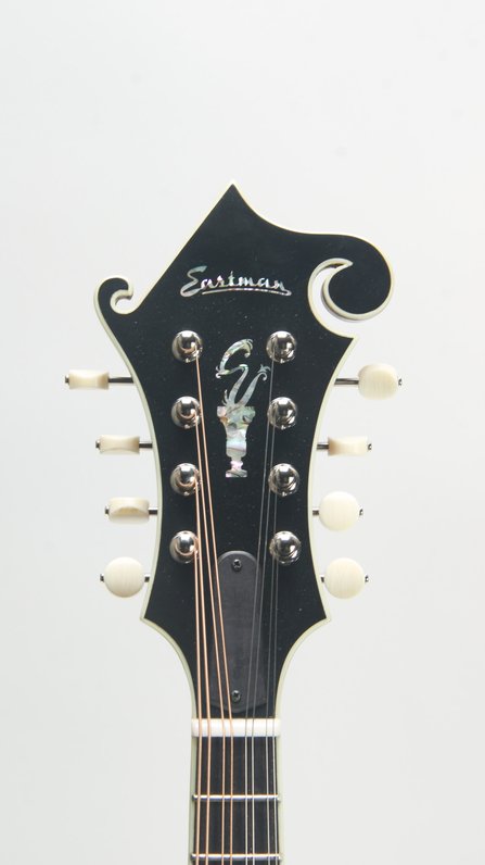 Eastman MD815 (used, 2025) #8