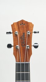 Cordoba 35T-CE (SKU: 32355) 32355