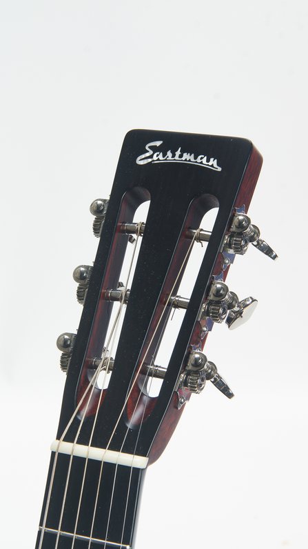 Eastman E10P #8
