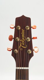 Takamine EAN40C (SKU: 31565) 31565