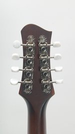 Eastman MDO305 Octave Mandolin *Used (2020) (SKU: 32771) 32771
