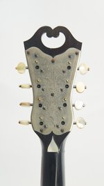 Vinaccia Bowlback Mandolin (SKU: 31900) 31900