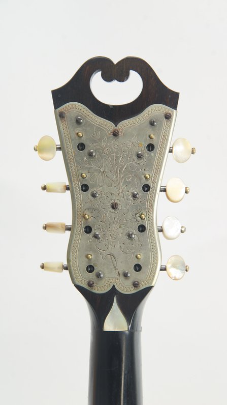 Vinaccia Bowlback Mandolin (1899 #8