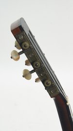 J. E. Dallas Zither Banjo (SKU: 31252) 31252
