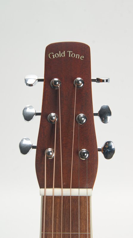 Gold Tone GT-WB Weissenborn #8
