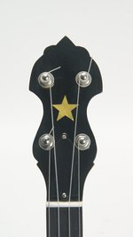 Gold Tone WL-250 Fretless (SKU: 32441) 32441