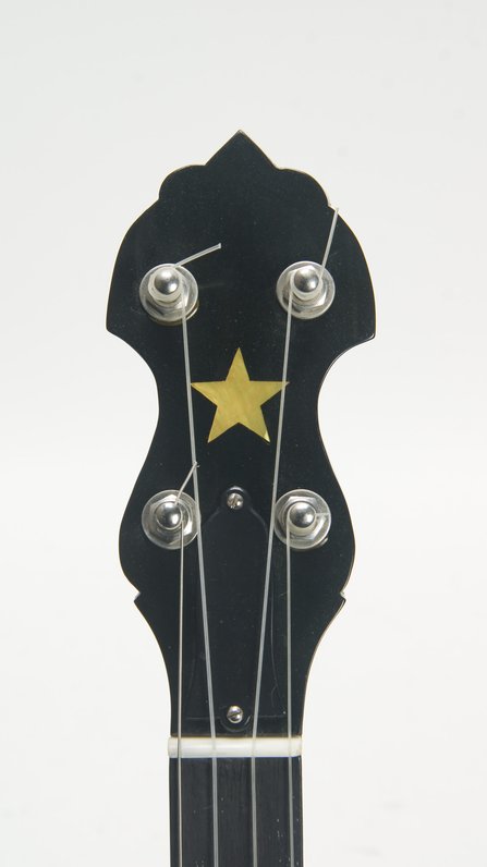 Gold Tone WL-250 Fretless #8
