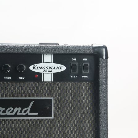Reverend Kingsnake #9