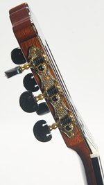 Cordoba C12 SP/RW (SKU: 31558) 31558