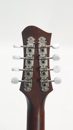 Eastman MDO305 (2022) *Used (SKU: 31551) 31551