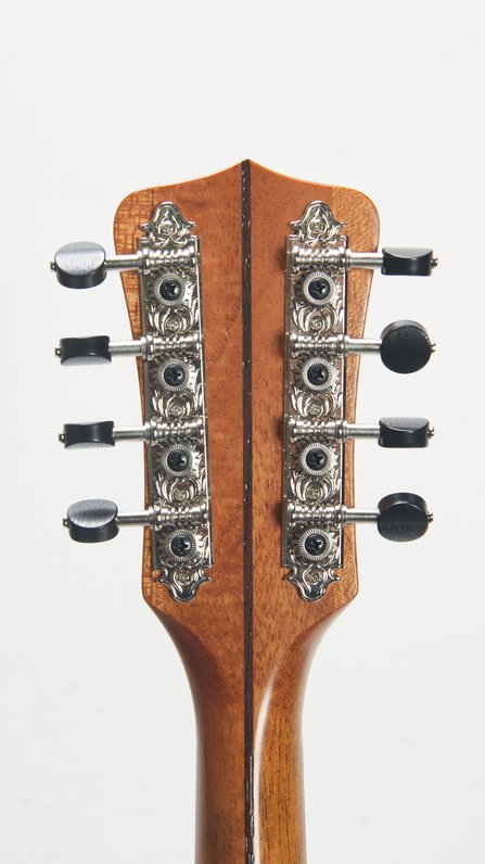 Sawchyn Hobo Mandolin #9