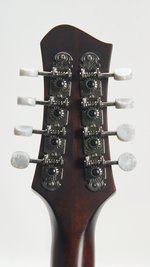 Eastman MDO305 (SKU: 31619) 31619