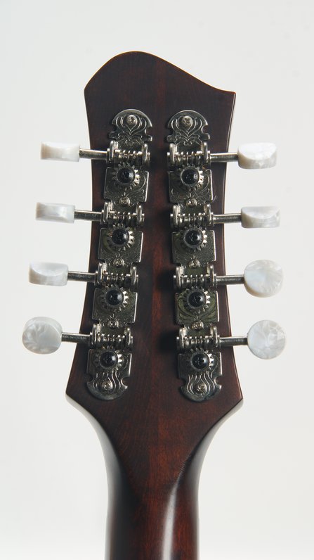Eastman MDO305 #9