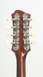 Ben Pearce "Outlier" Custom Electric Mandolin (SKU: 24744) 24744