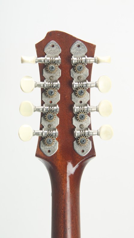 Ben Pearce "Outlier" Custom Electric Mandolin #9