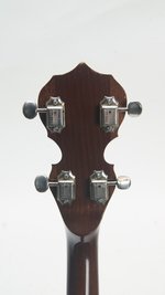 Deering Basic Model (ca. 1982) (SKU: 31991) 31991