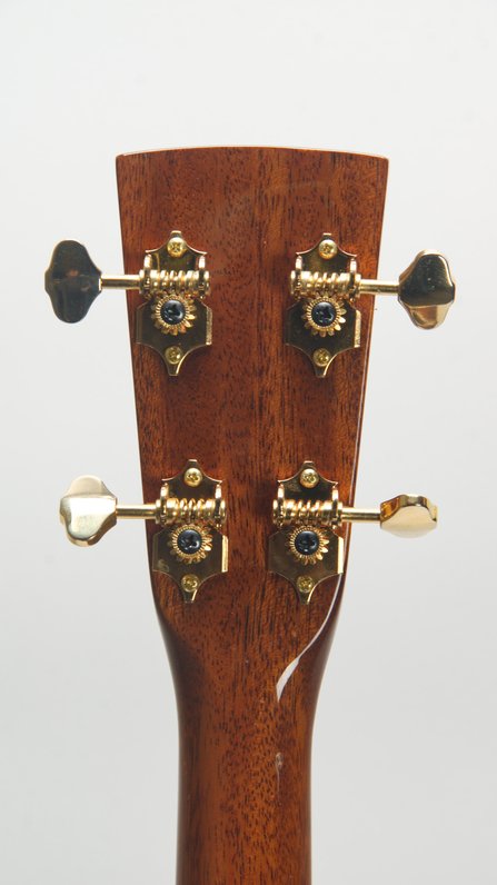 Blueridge BR-70T #9