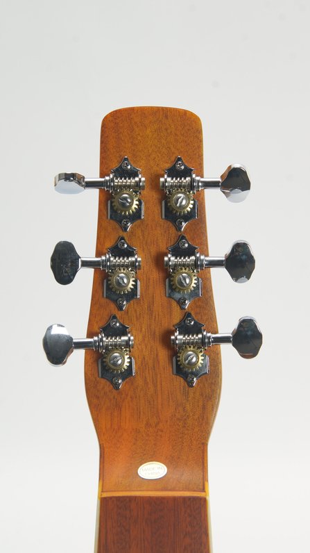 Gold Tone GT-WB Weissenborn #9