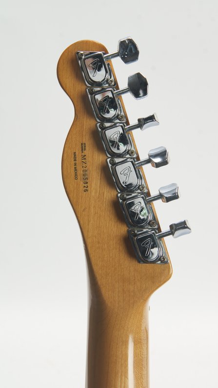 Fender Thinline Telecaster MIM Neck (ca.2020) #9