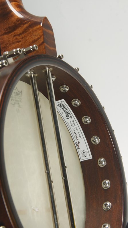 Deering Vega Senator (ca. 2006) #9