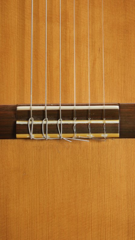 Edgar Monch (Spruce, Indian Rosewood, ca. 1971) #9
