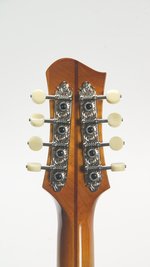 Eastman MDO605-GB (New) (SKU: 32766) 32766