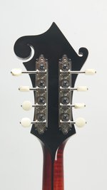 Eastman MD815 (used, 2025) (SKU: 32173) 32173