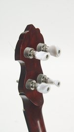 Gold Tone WL-250 Fretless (SKU: 32441) 32441