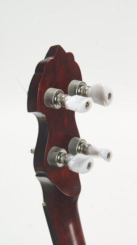 Gold Tone WL-250 Fretless #9