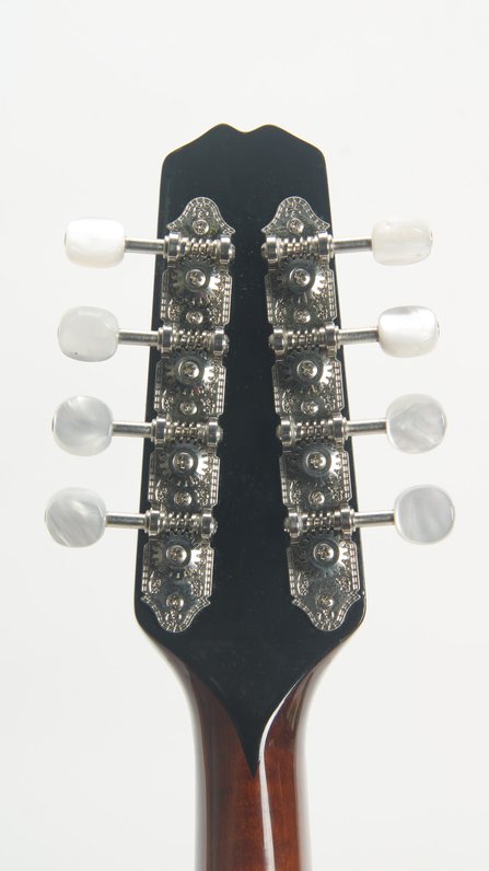 Weber Yellowstone A Mandolin (2012) #9