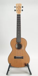 Cordoba 24T (Used)
