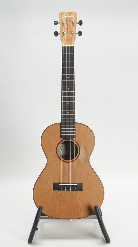 Cordoba 24T (Used) #1
