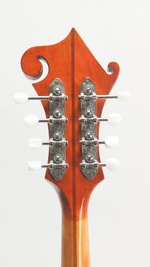 Eastman MD515/V-AMB (SKU: 32397) 32397