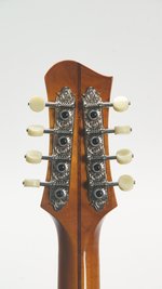 Eastman MDO605-GB (New) (SKU: 32779) 32779