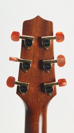 Takamine EAN40C (SKU: 31565) 31565