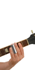 D'addario Chrome Plated Brass Slide Medium (SKU: 30668) 30668