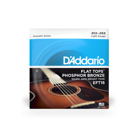 D'Addario EFT16 - Flat Top Guitar #1