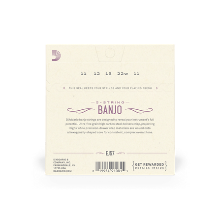 D'Addario EJ57 - 5-String Banjo #2