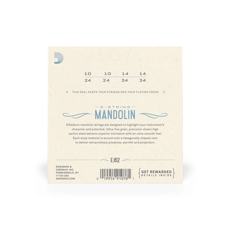 D'Addario EJ62 - Mandolin #2