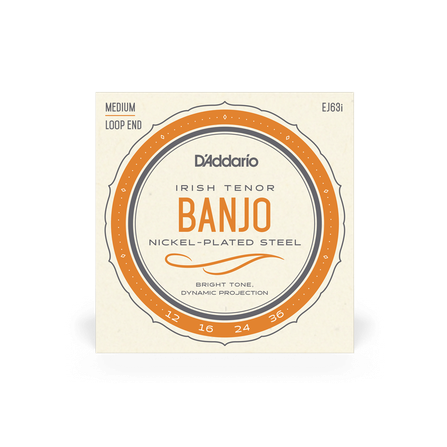 D'Addario EJ63i - Irish Banjo #1