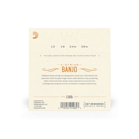 D'Addario EJ63i - Irish Banjo #2
