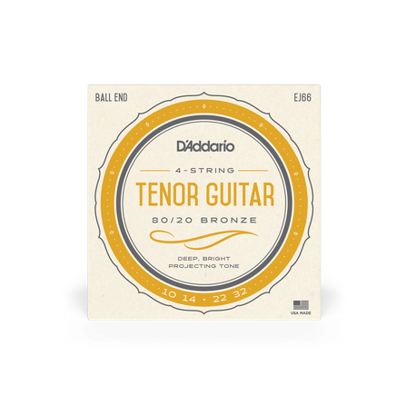 D'Addario EJ66 - Tenor Guitar #1