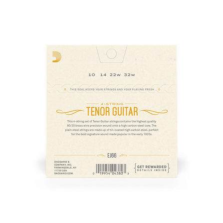 D'Addario EJ66 - Tenor Guitar #2