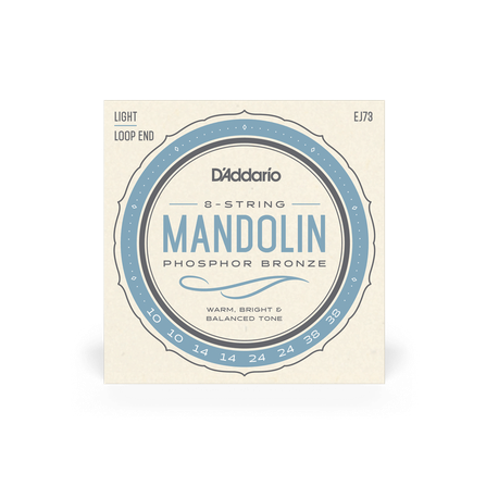 D'Addario EJ73 - Mandolin #1