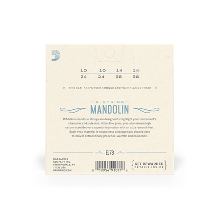 D'Addario EJ73 - Mandolin #2